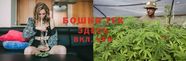 стафф Богданович