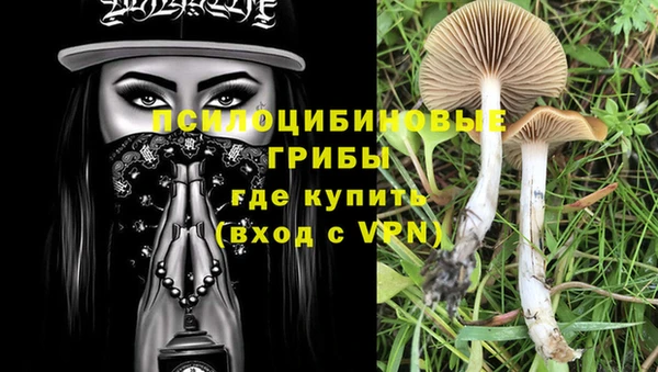 а пвп мука Богородск