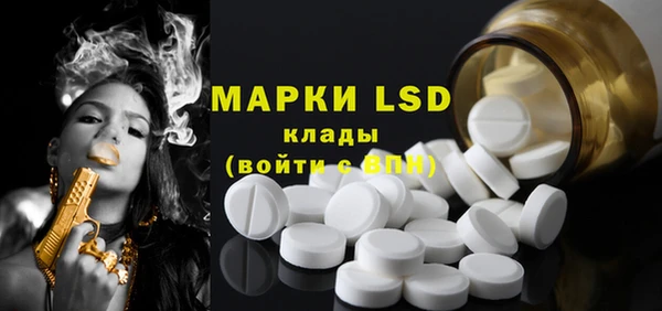 прущие грибы Белокуриха