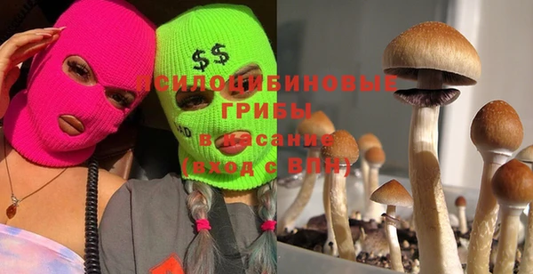 кокс Бородино