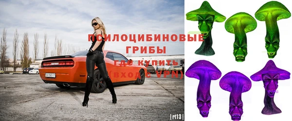 стафф Богданович