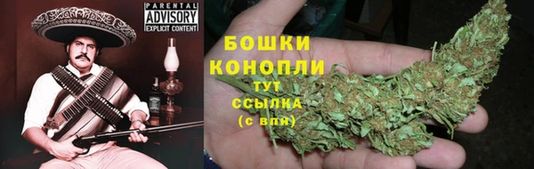 кокс Бородино