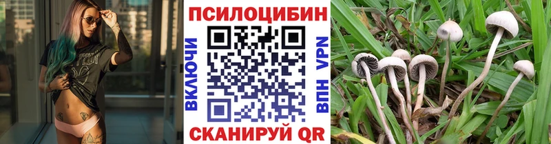 Галлюциногенные грибы ЛСД  маркетплейс формула  блэк спрут зеркало  Демидов  закладки 
